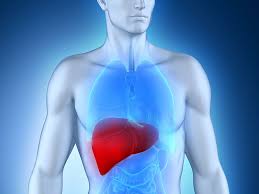 Diet for A healthy liver after Hep C