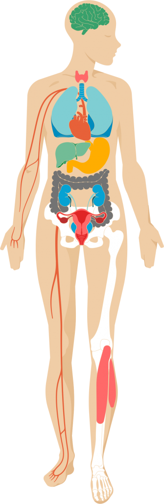Hepatitis C symptoms