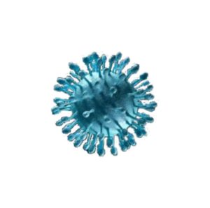 can you have dormant Hep C